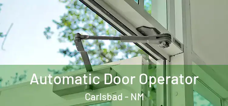  Automatic Door Operator Carlsbad - NM