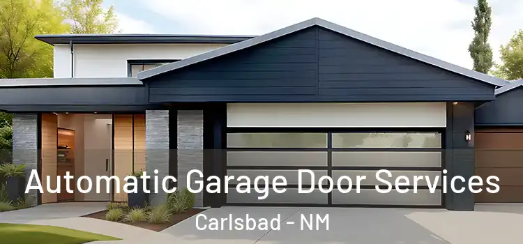  Automatic Garage Door Services Carlsbad - NM