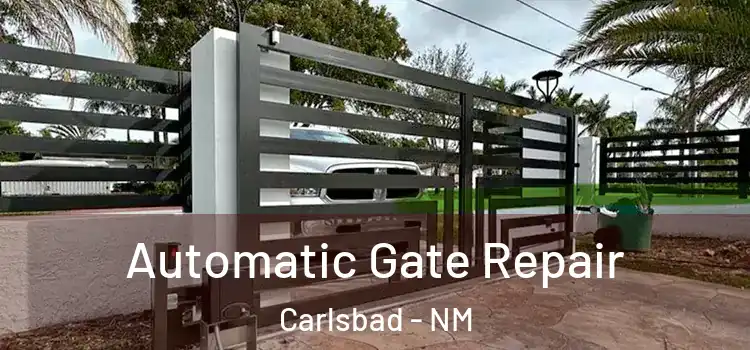 Automatic Gate Repair Carlsbad - NM