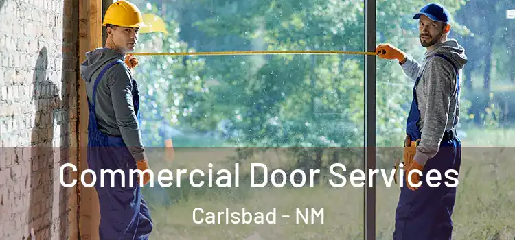 Commercial Door Services Carlsbad - NM