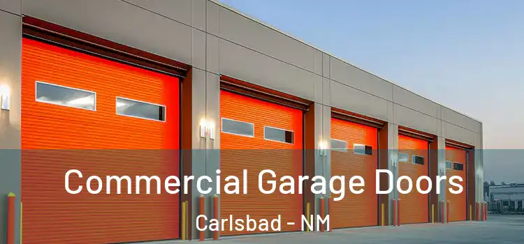  Commercial Garage Doors Carlsbad - NM
