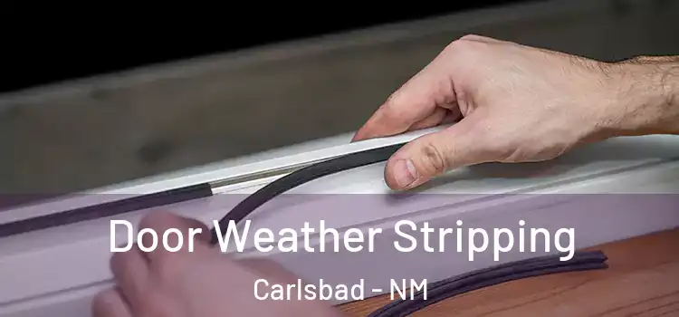 Door Weather Stripping Carlsbad - NM