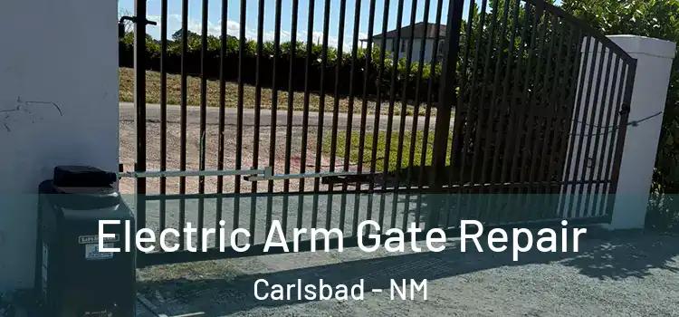  Electric Arm Gate Repair Carlsbad - NM