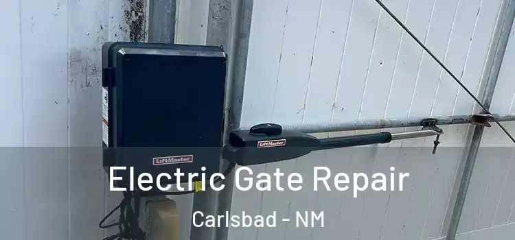 Electric Gate Repair Carlsbad - NM