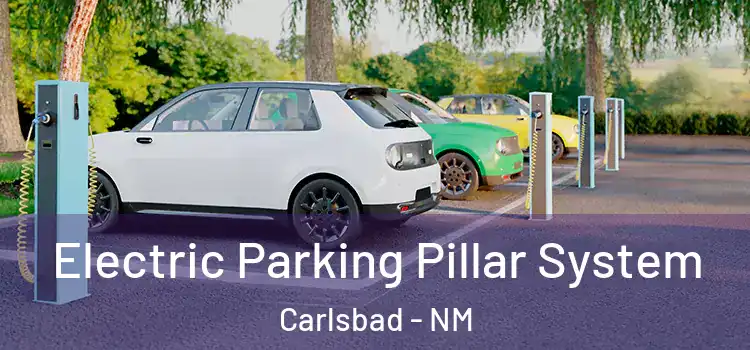 Electric Parking Pillar System Carlsbad - NM
