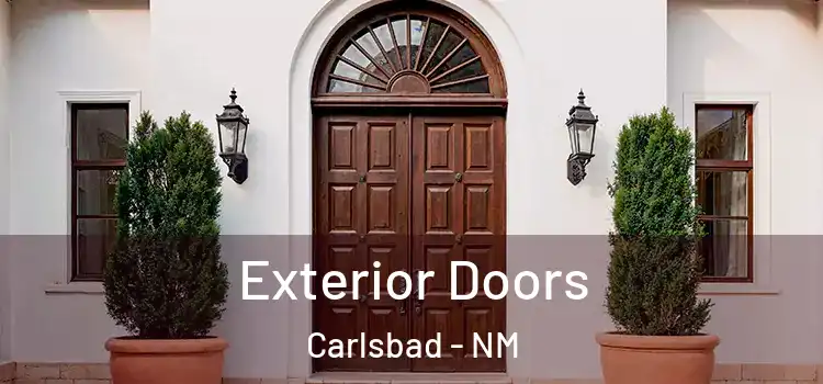  Exterior Doors Carlsbad - NM