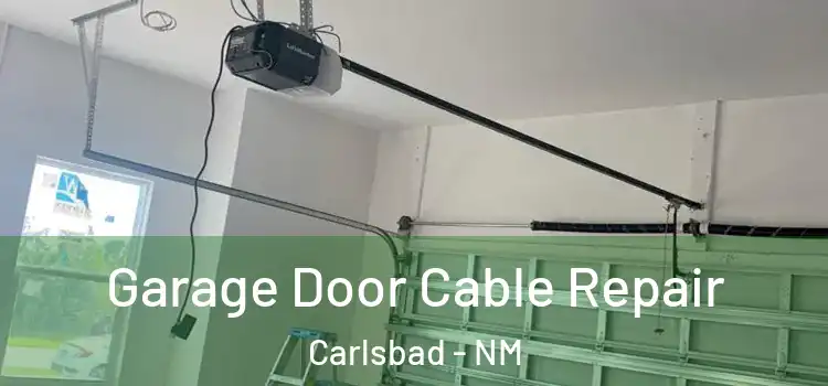  Garage Door Cable Repair Carlsbad - NM