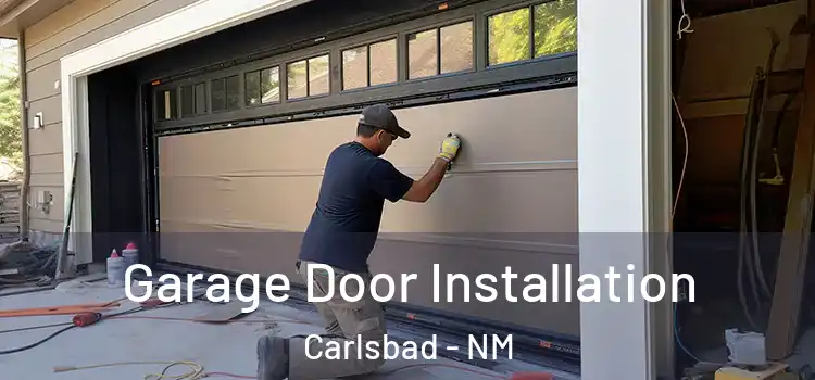 Garage Door Installation Carlsbad - NM