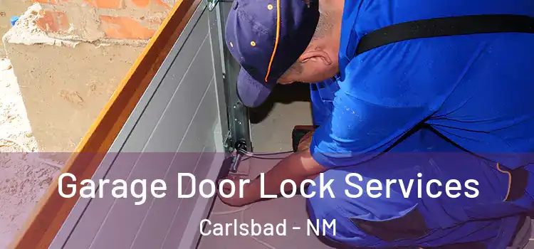 Garage Door Lock Services Carlsbad - NM