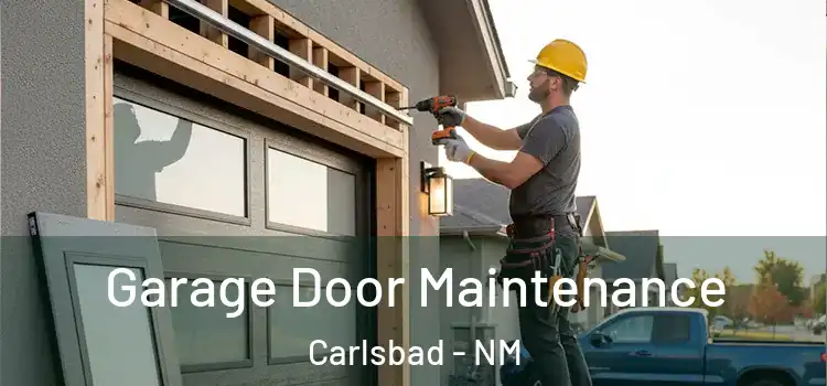 Garage Door Maintenance Carlsbad - NM