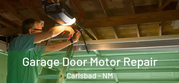  Garage Door Motor Repair Carlsbad - NM