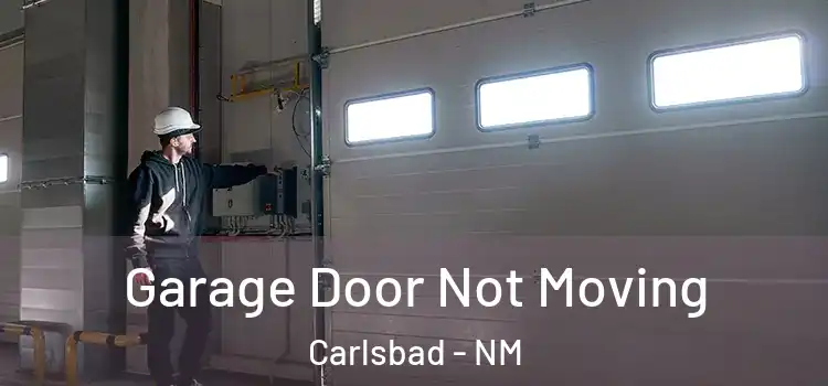  Garage Door Not Moving Carlsbad - NM