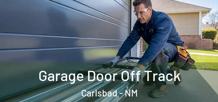  Garage Door Off Track Carlsbad - NM