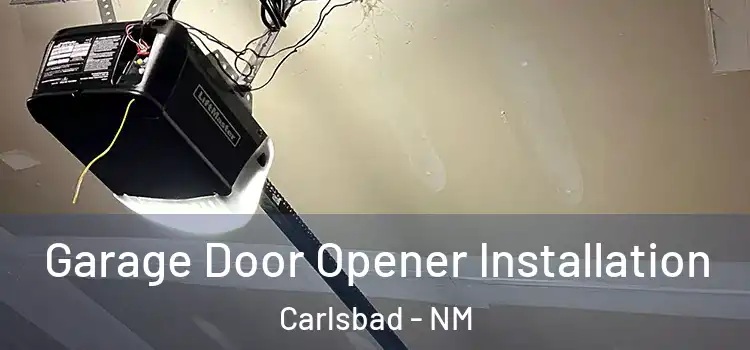  Garage Door Opener Installation Carlsbad - NM