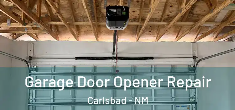  Garage Door Opener Repair Carlsbad - NM