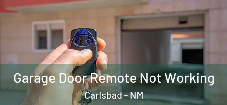  Garage Door Remote Not Working Carlsbad - NM