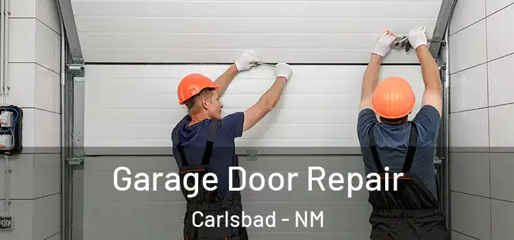  Garage Door Repair Carlsbad - NM