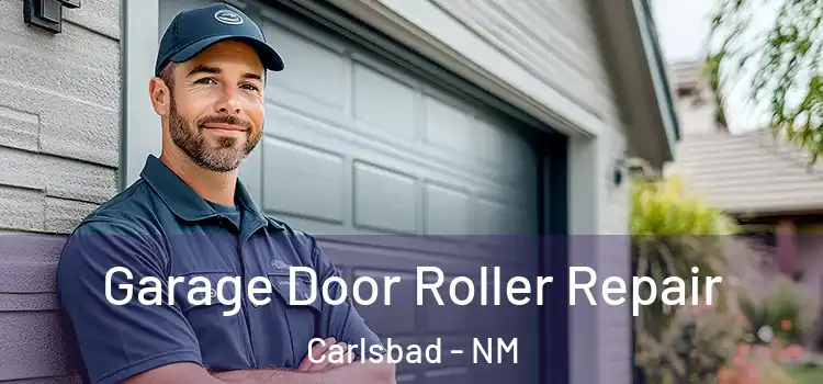  Garage Door Roller Repair Carlsbad - NM