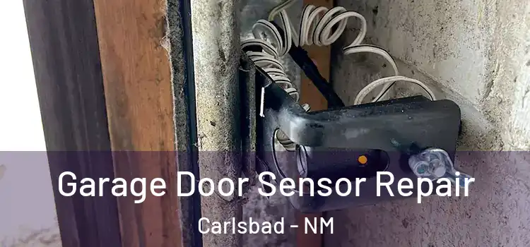  Garage Door Sensor Repair Carlsbad - NM