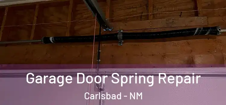  Garage Door Spring Repair Carlsbad - NM