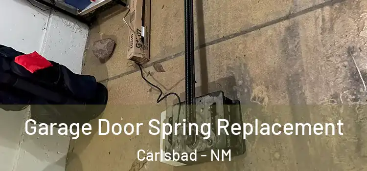 Garage Door Spring Replacement Carlsbad - NM