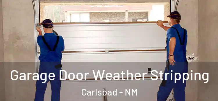  Garage Door Weather Stripping Carlsbad - NM
