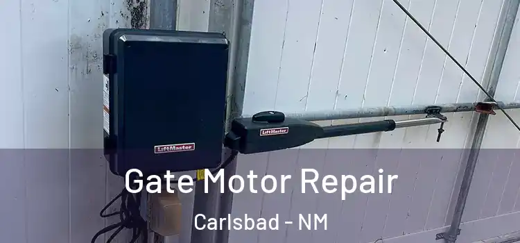 Gate Motor Repair Carlsbad - NM