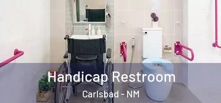  Handicap Restroom Carlsbad - NM