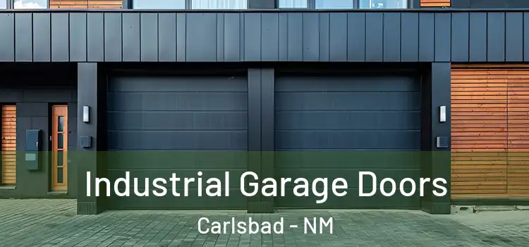  Industrial Garage Doors Carlsbad - NM