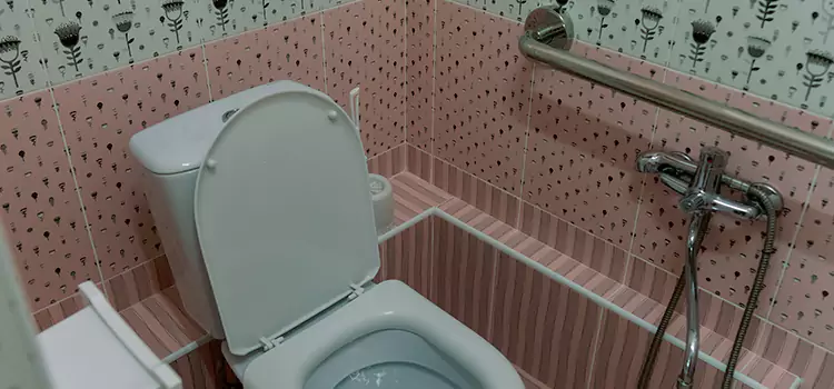 Meeting Diverse Needs With Accessible Restroom Solutions in Carlsbad, NM
