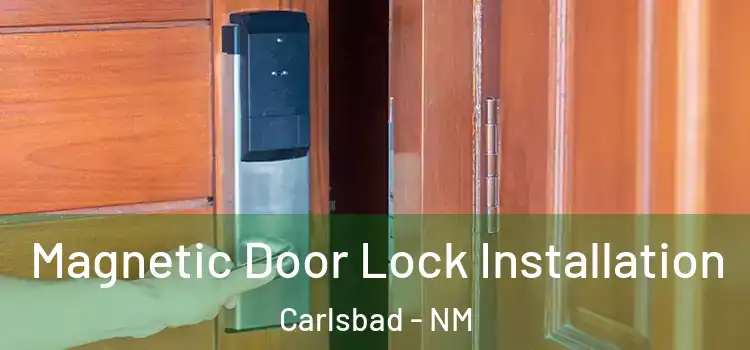  Magnetic Door Lock Installation Carlsbad - NM