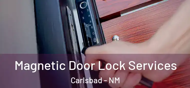 Magnetic Door Lock Services Carlsbad - NM