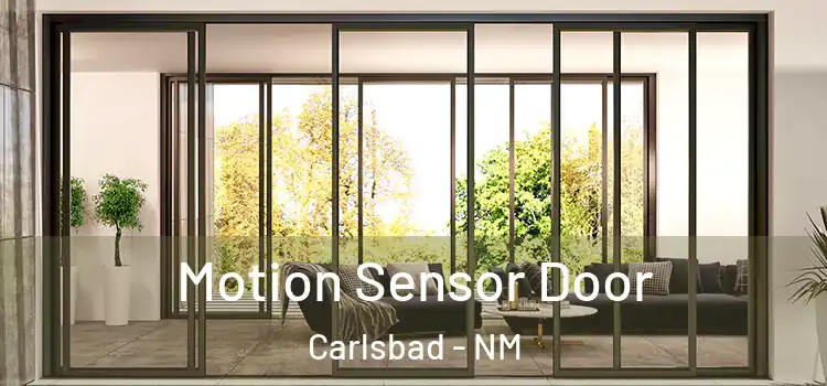  Motion Sensor Door Carlsbad - NM
