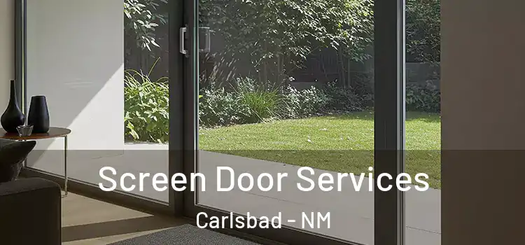 Screen Door Services Carlsbad - NM
