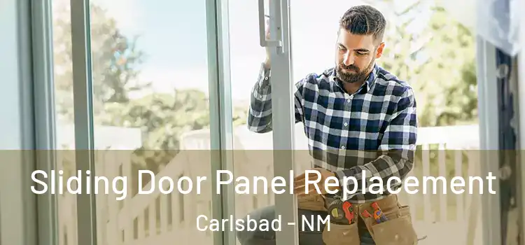  Sliding Door Panel Replacement Carlsbad - NM