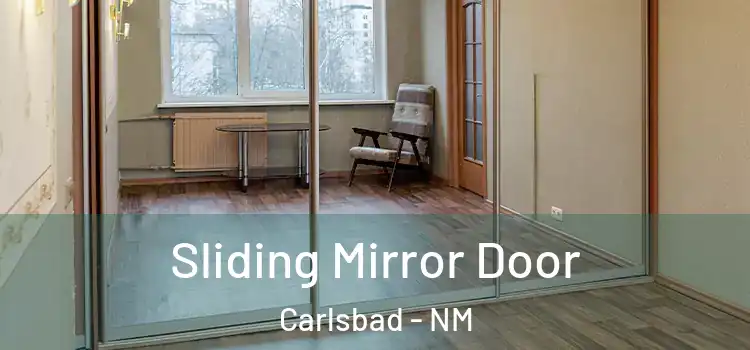  Sliding Mirror Door Carlsbad - NM