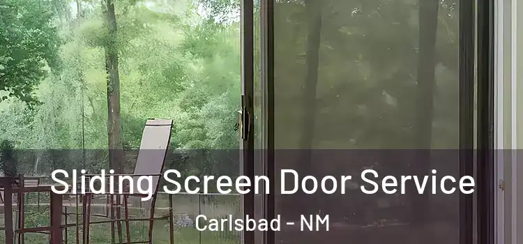 Sliding Screen Door Service Carlsbad - NM