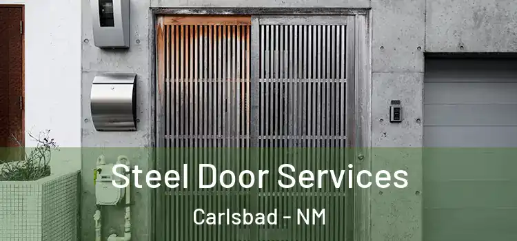  Steel Door Services Carlsbad - NM
