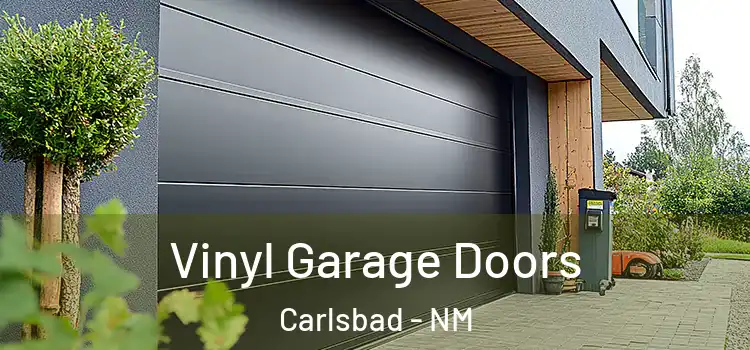  Vinyl Garage Doors Carlsbad - NM
